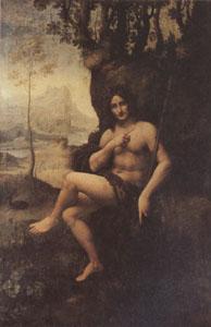 Leonardo  Da Vinci Bacchus (mk05) France oil painting art